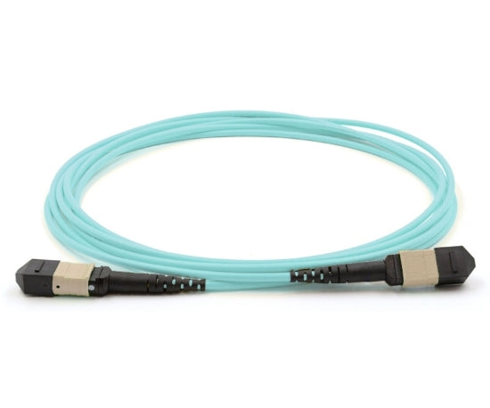 HPE 24 Fiber MPO Single Mode 1 Meter Cable - R1N78A